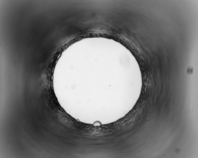 X0000103941207200810101408