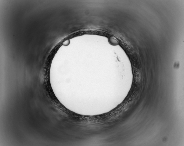 X0000103941208200810101408