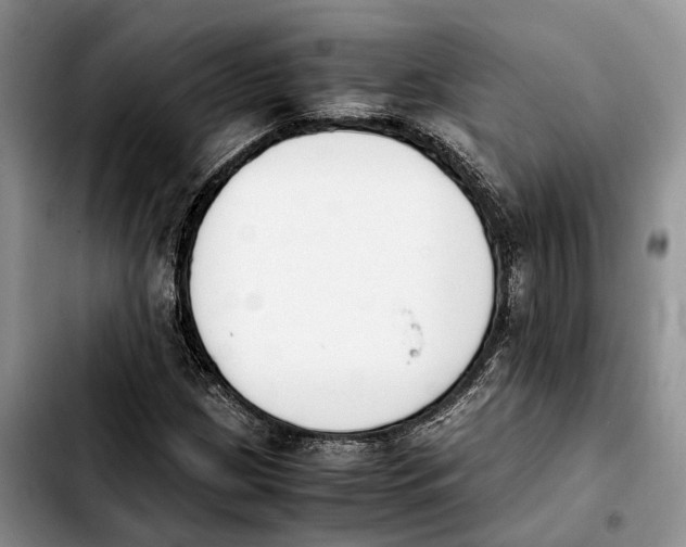 X0000103941209200810101408