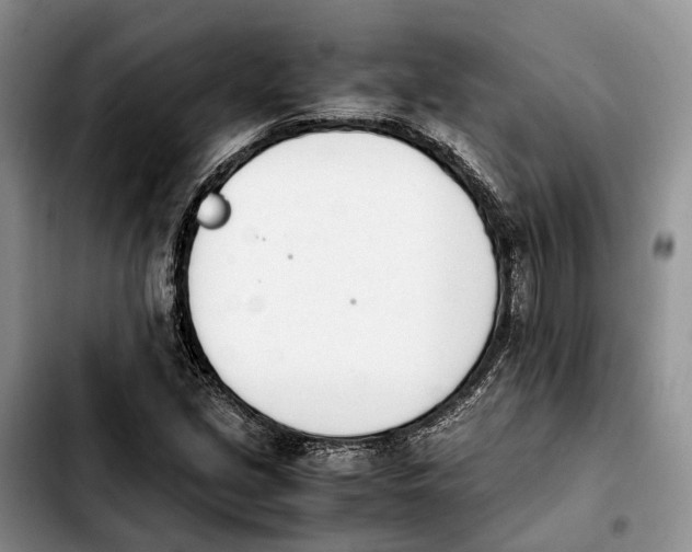 X0000103941213200810101408