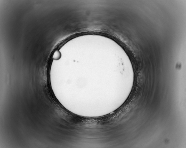 X0000103941214200810101408