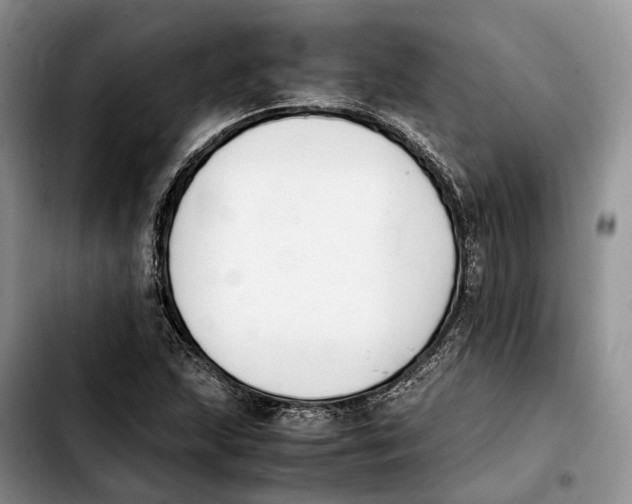 X0000103941215200810101408