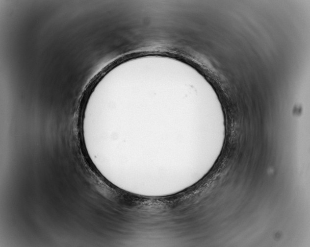 X0000103941216200810101408