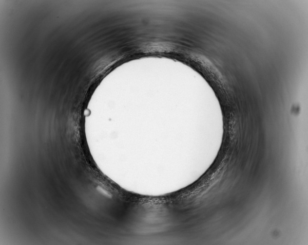 X0000103941217200810101408