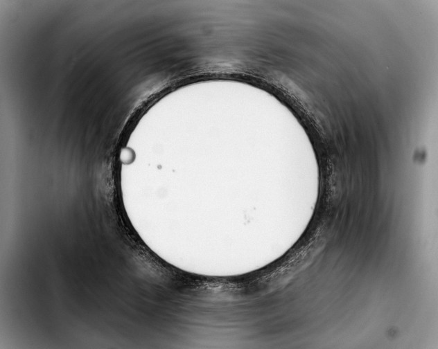 X0000103941218200810101408