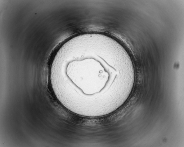 X0000103941219200810101408