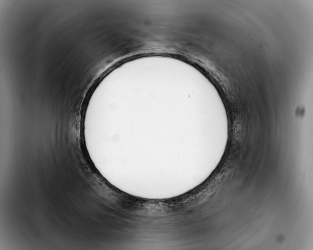 X0000103941220200810101408