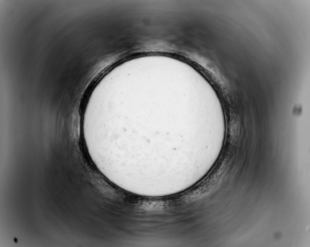 X0000103941221200810101409