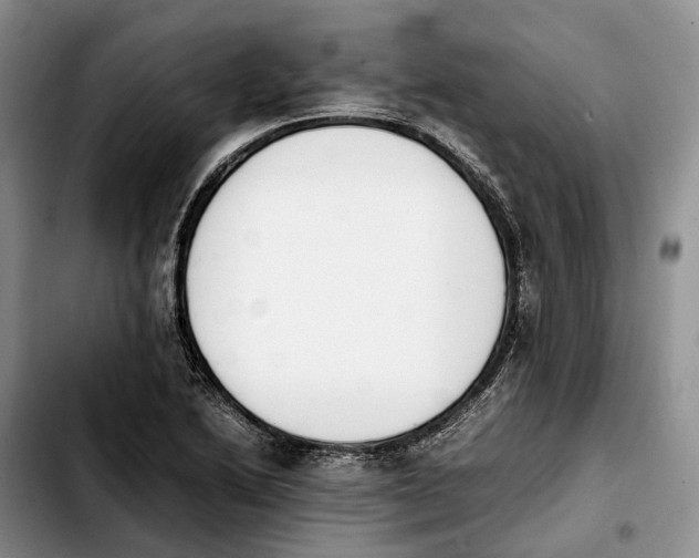 X0000103941222200810101409