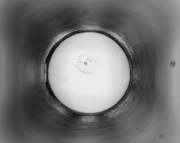 X0000103941223200810101409