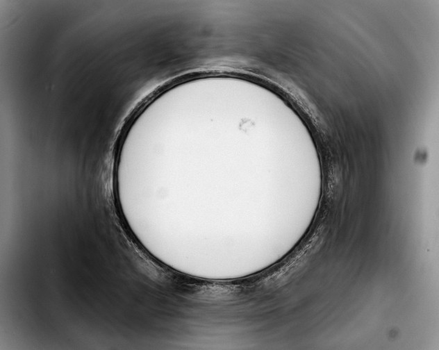 X0000103941224200810101409