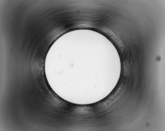 X0000103941225200810101409