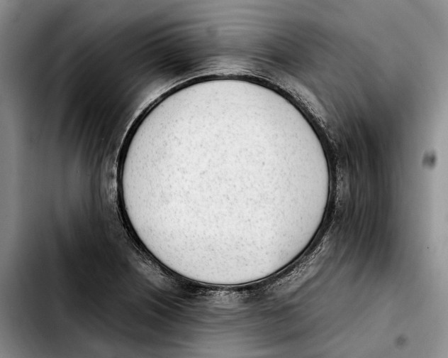 X0000103941226200810101409