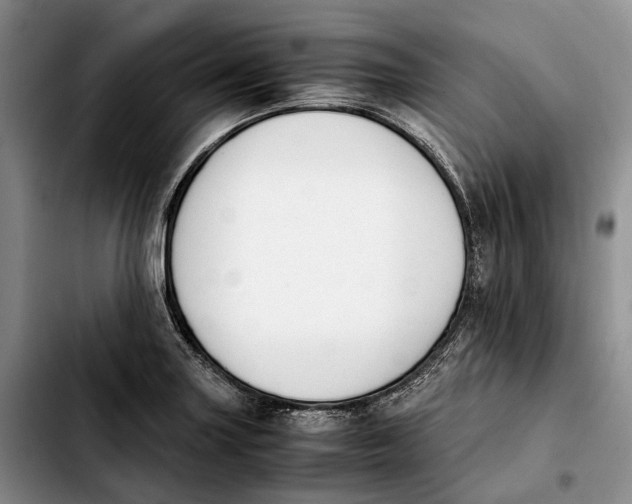 X0000103941227200810101409