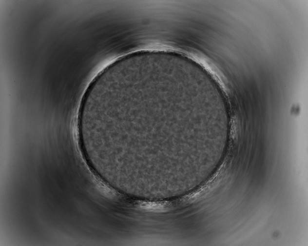 X0000103941229200810101409