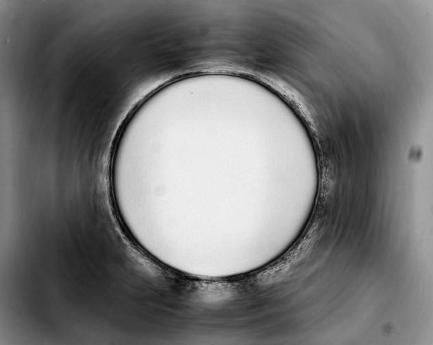 X0000103941231200810101409