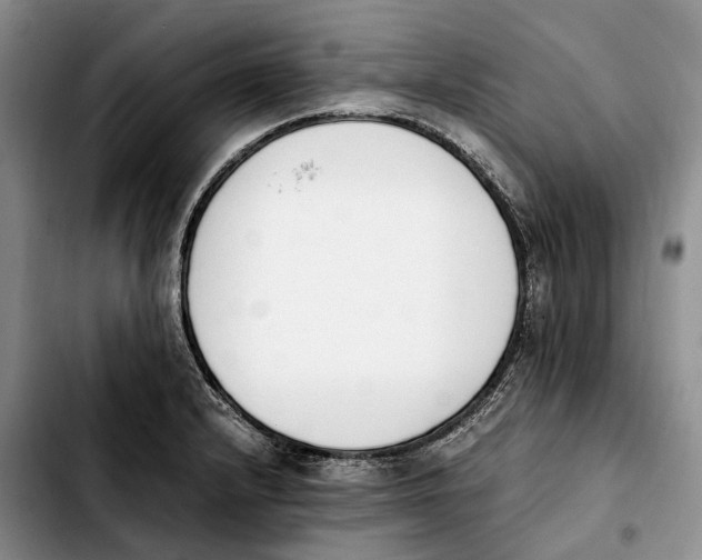 X0000103941232200810101409