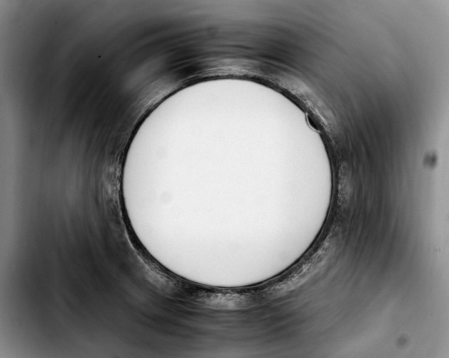 X0000103941233200810101409