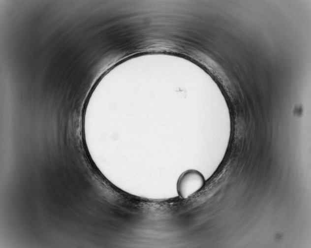 X0000103941234200810101409