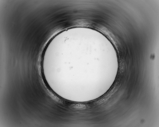 X0000103941235200810101409