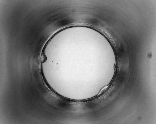 X0000103941236200810101409