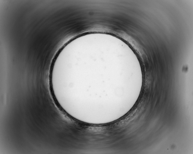 X0000103941237200810101409