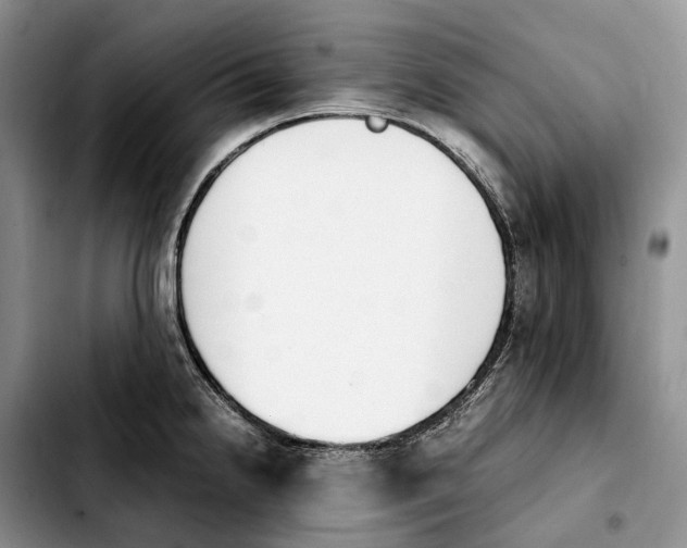 X0000103941238200810101409