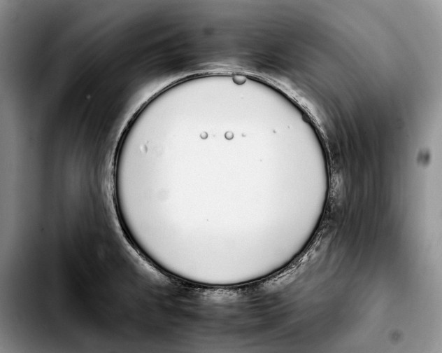 X0000103941239200810101409