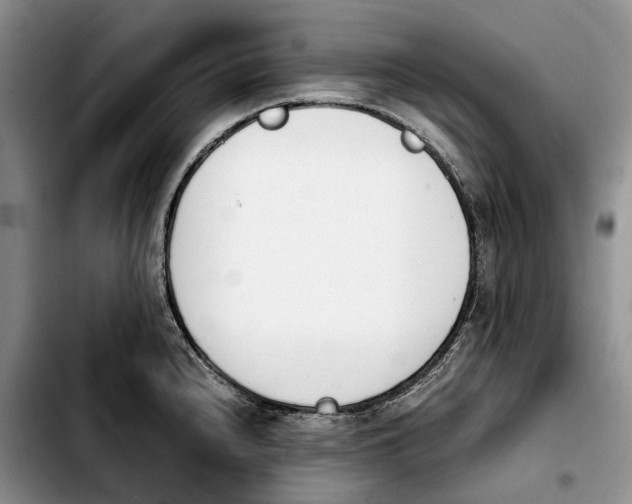 X0000103941240200810101409