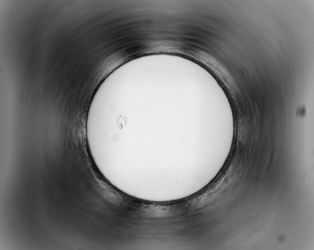 X0000103941241200810101409