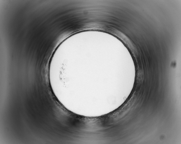 X0000103941242200810101409