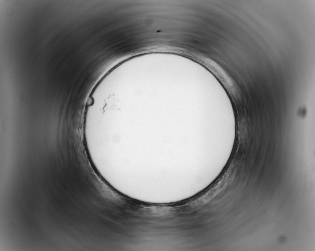 X0000103941244200810101409