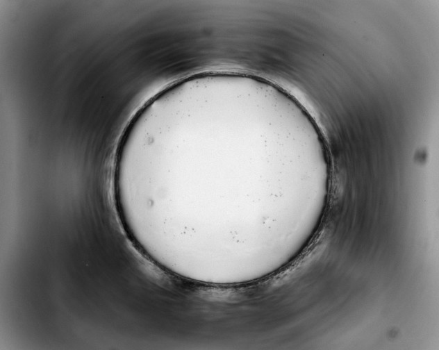 X0000103941245200810101409