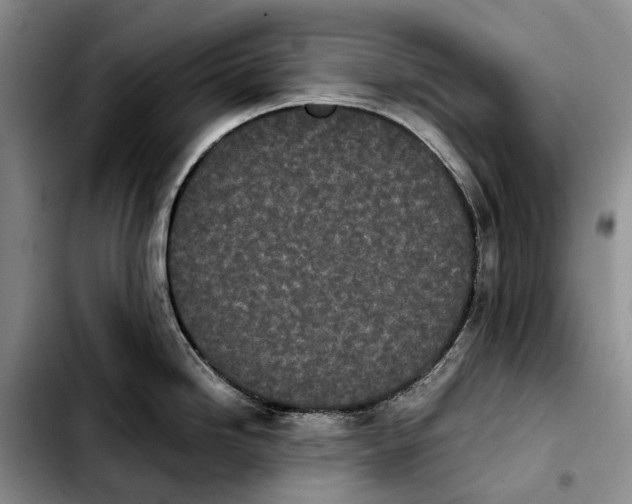 X0000103941246200810101409