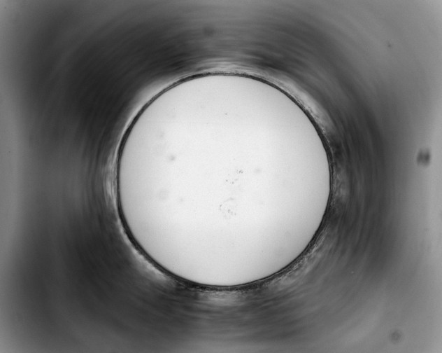 X0000103941247200810101409