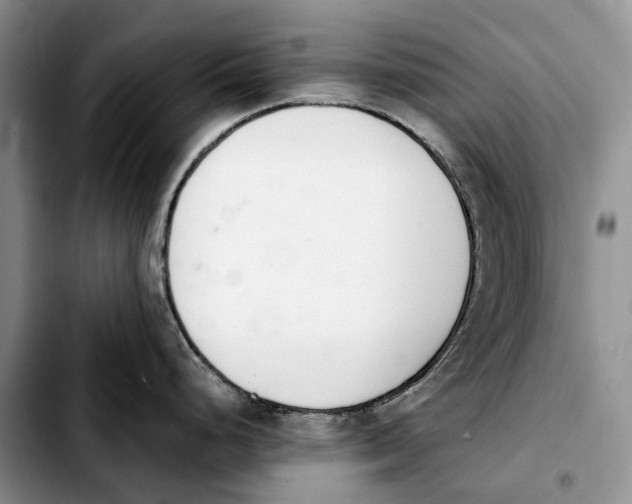 X0000103941248200810101409