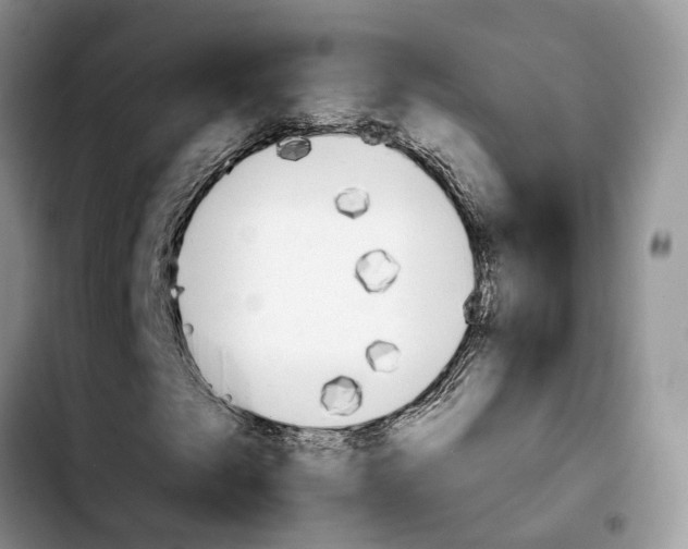 X0000103941249200810101408