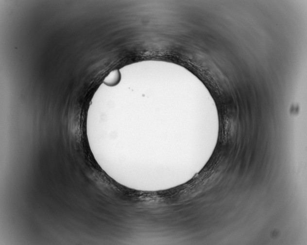 X0000103941250200810101408