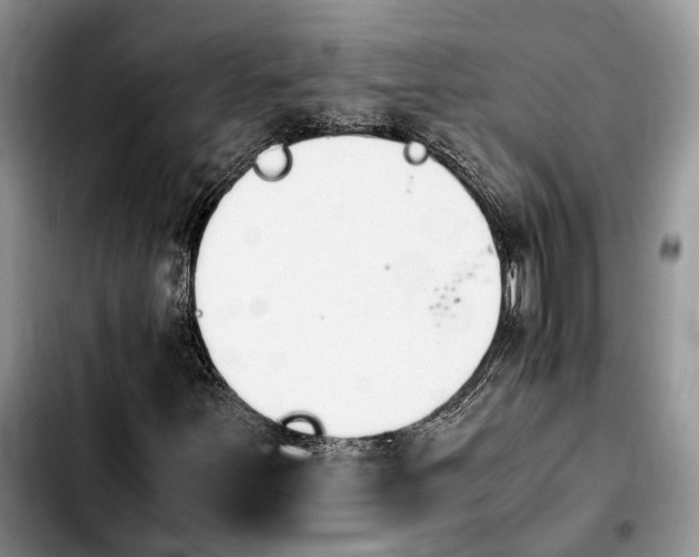 X0000103941251200810101408