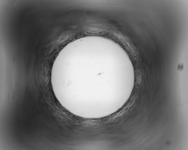 X0000103941253200810101408