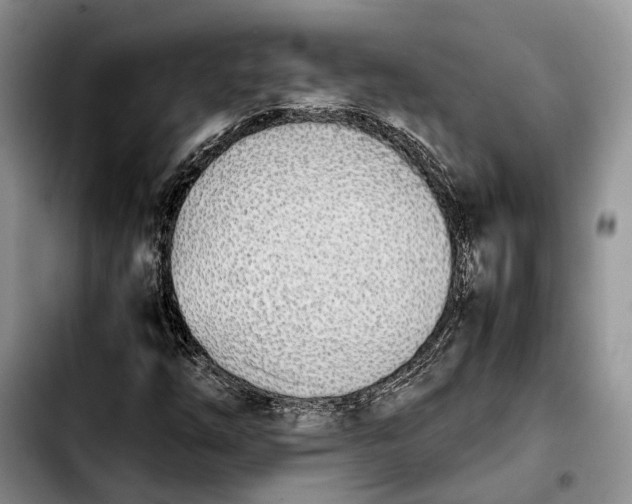 X0000103941254200810101408