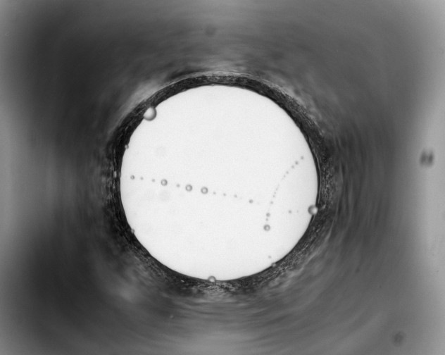 X0000103941255200810101408