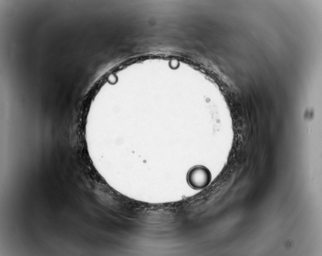 X0000103941256200810101408