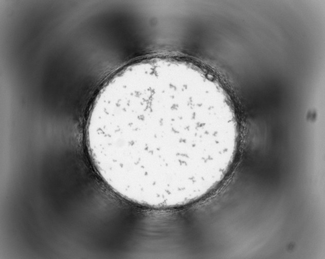 X0000103941257200810101408