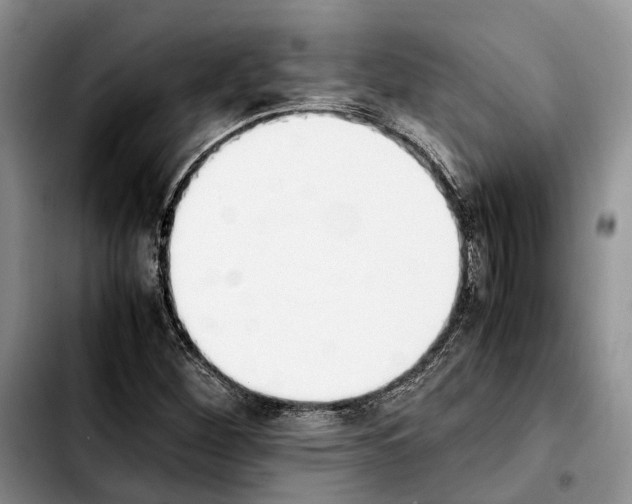 X0000103941260200810101408