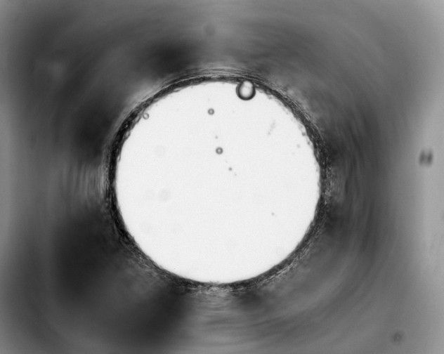 X0000103941261200810101408