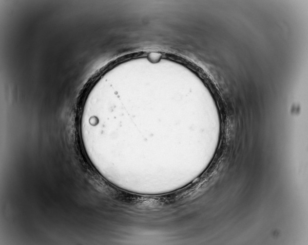 X0000103941263200810101408