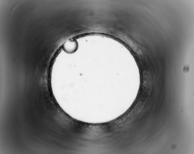 X0000103941264200810101408