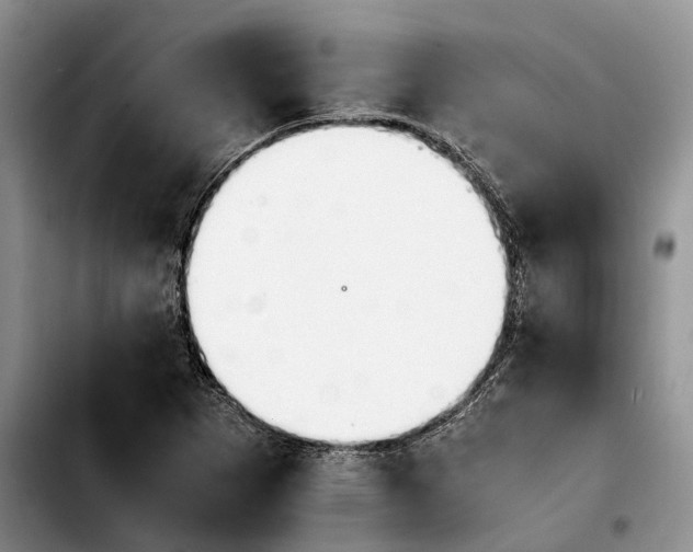 X0000103941265200810101408