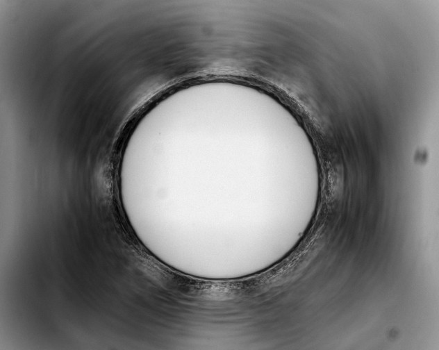 X0000103941266200810101408